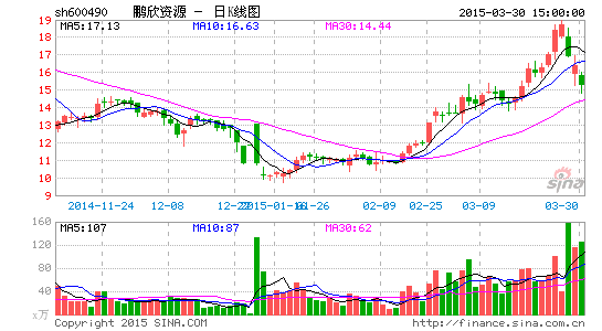 鹏欣资源股票最新动态更新,最新消息与走势分析