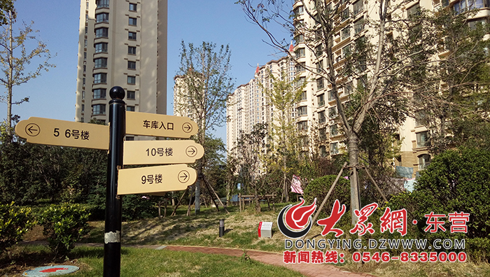 广饶中南世纪城最新动态揭秘,巷弄特色小店独特魅力探索