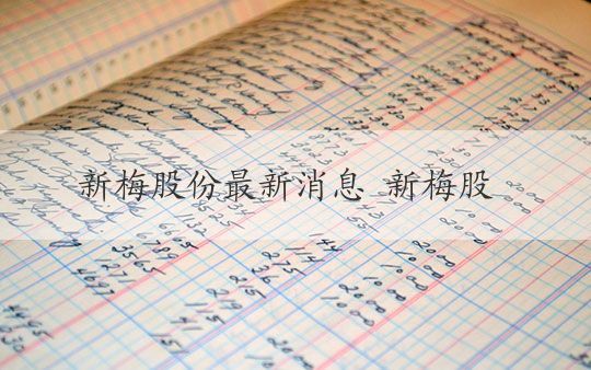 ST新梅最新消息揭秘,温馨有趣的日常故事