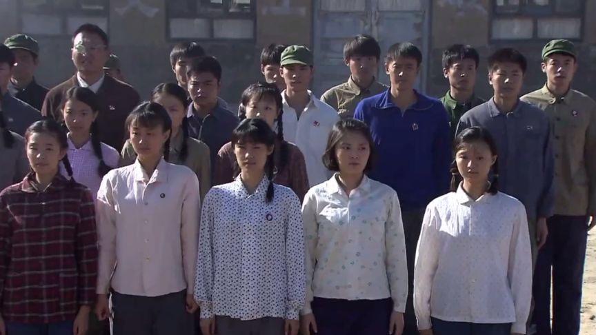 最新知青电视剧概览,温情故事引人瞩目