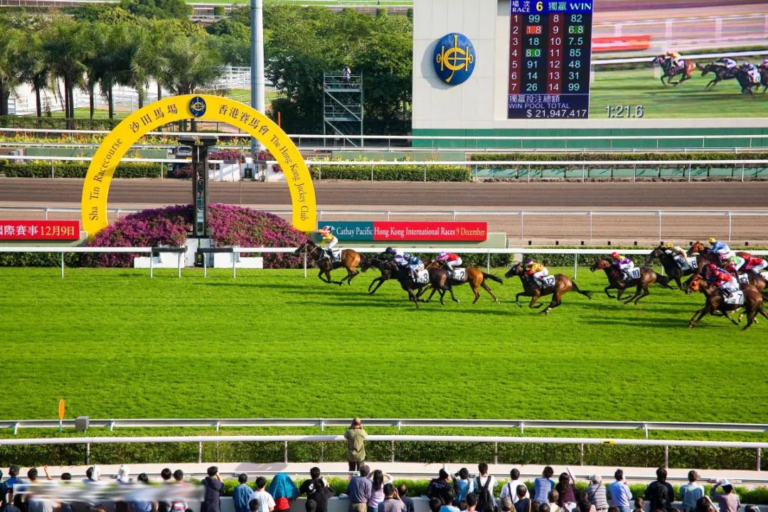 香港六合202427333,快速解决方式指南_RPP50.501梦想版