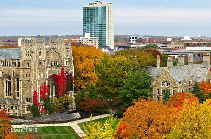 新奥门特免费资料大全凯旋门,专业调查具体解析_PQM50.465共享版