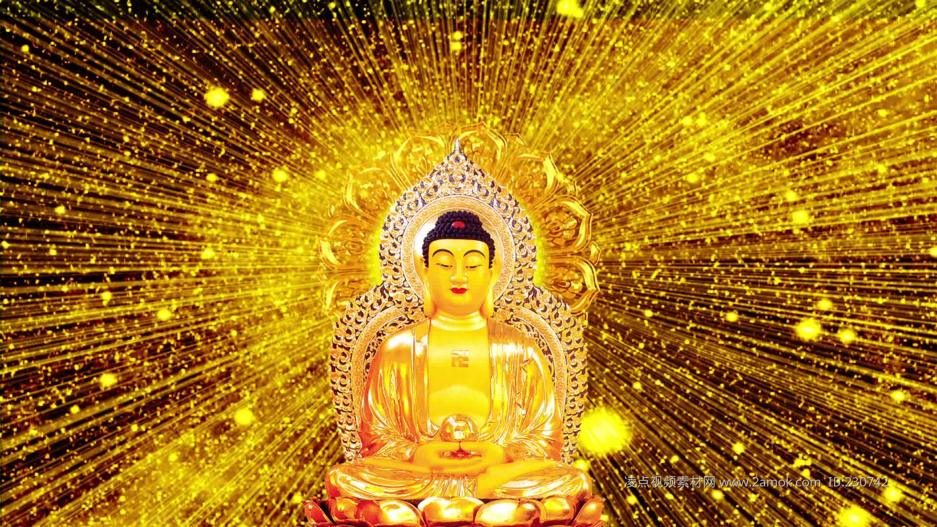 金光佛4949免费资料,实地研究解答协助_IBB50.154艺术版