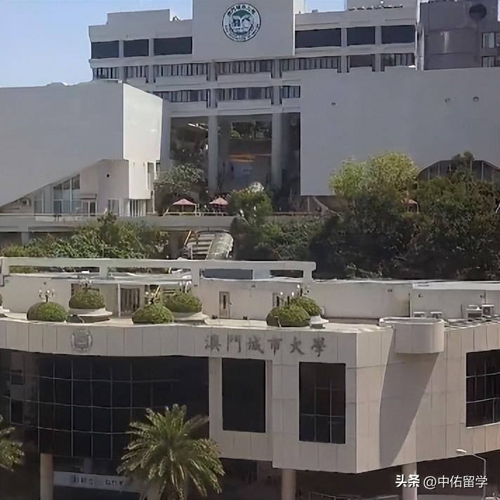 2024年澳门开奖结果记录,专家解说解释定义_UGV50.658趣味版