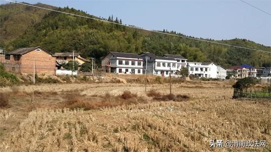 今日浏阳新闻速递与了解地方新闻的步骤指南