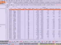 二四六资料308玄机图库,实时数据分析_YOF50.375珍贵版