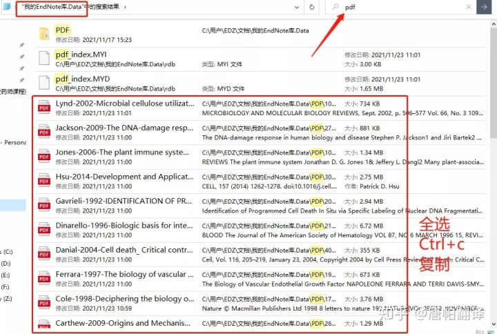 2024澳门资料大全正版资料免费,稳固执行方案计划_UYC50.368并发版