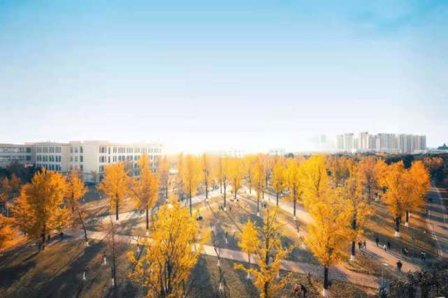 管家婆2024精准资料大全,科学分析严谨解释_LMW50.655交互版