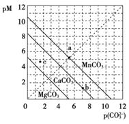 WWjjmCO就玉色的白小姐,解析解释说法_ARY50.735外观版