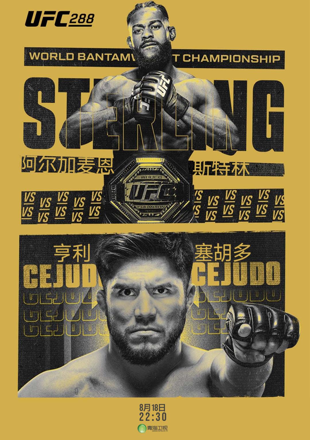 龙斗UFC最新一期,荣耀与激情的终极碰撞之战