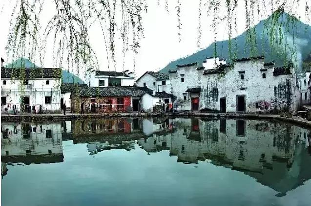 临金高速建德最新动态更新