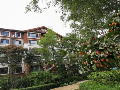 由山由谷探索新篇章,自然技能进阶任务揭秘