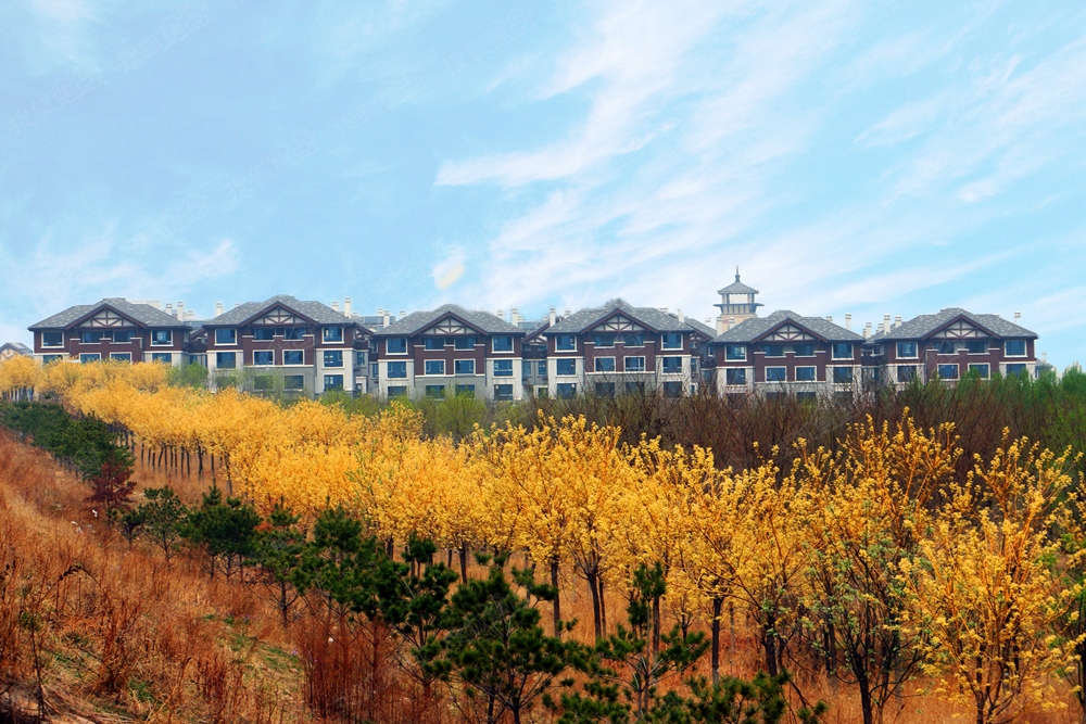 由山由谷探索新篇章,自然技能进阶任务揭秘