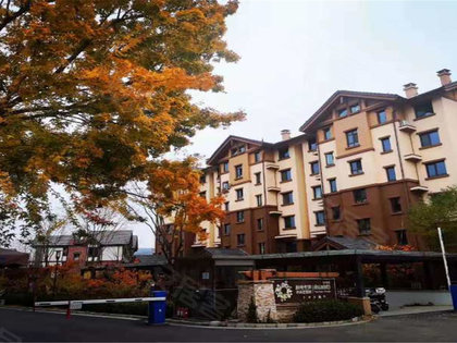 由山由谷探索新篇章,自然技能进阶任务揭秘