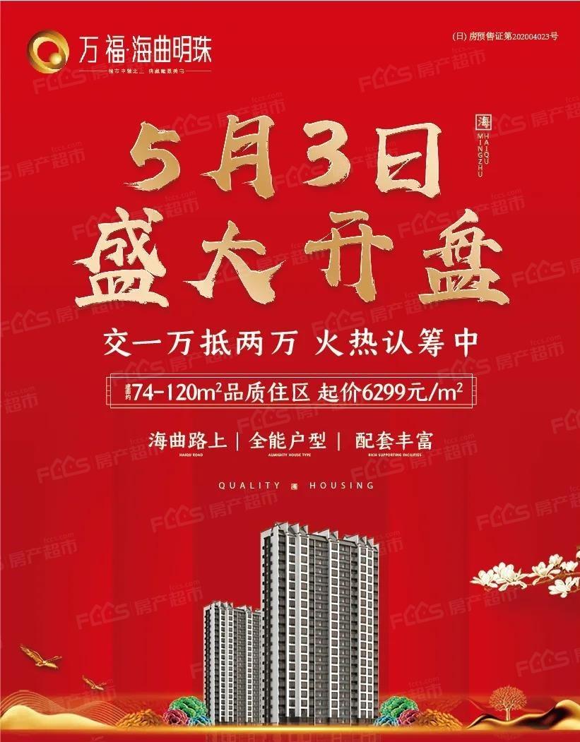 日照海曲明珠最新动态揭秘,小巷深处的独特风味