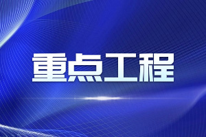 盖网最新动态揭晓,2024年发展展望