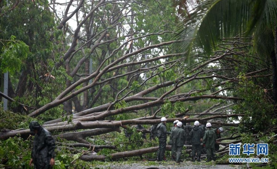 威马逊台风下的日常故事与最新动态
