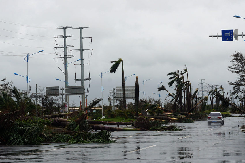 威马逊台风下的日常故事与最新动态
