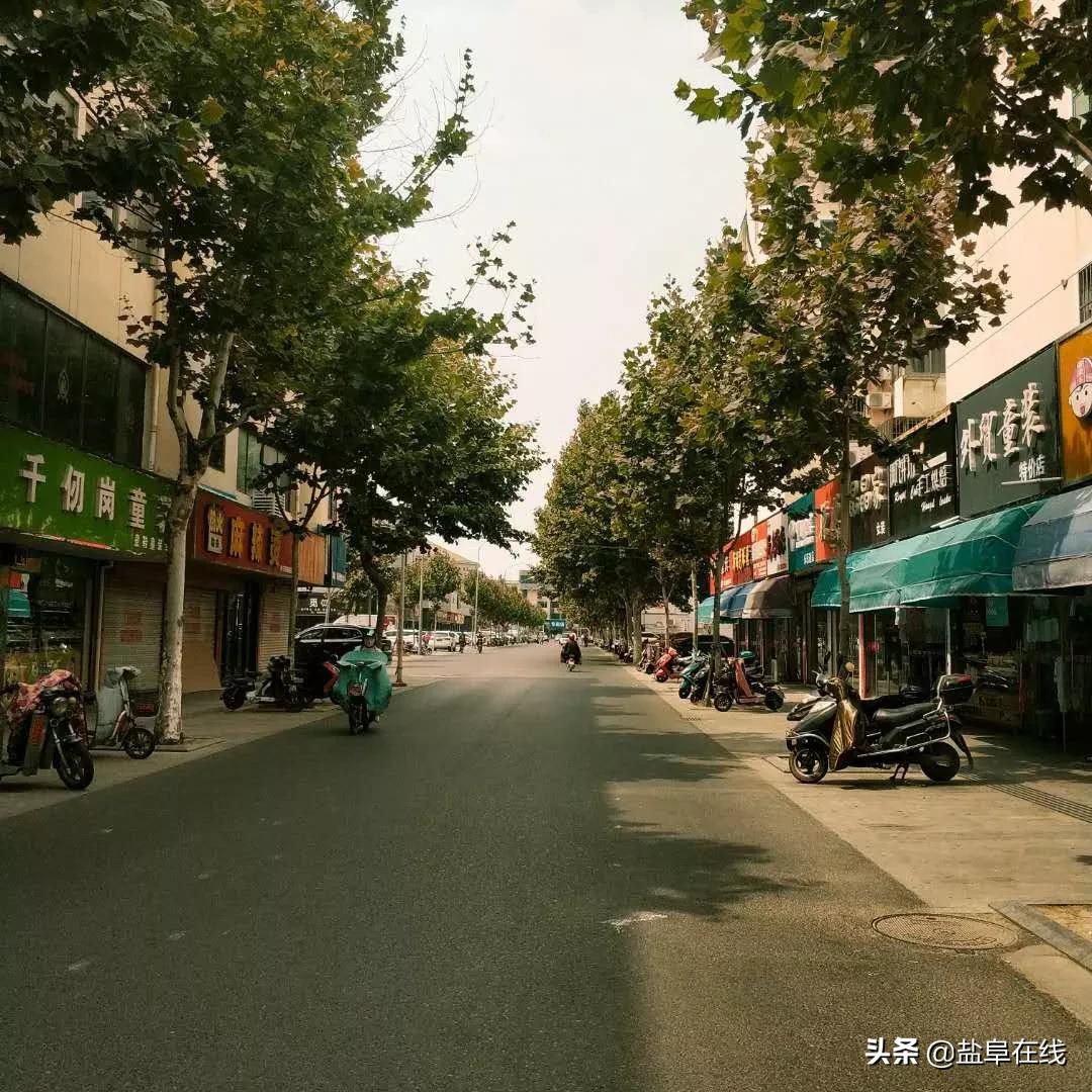 阜宁人才网最新招聘信息全面概览