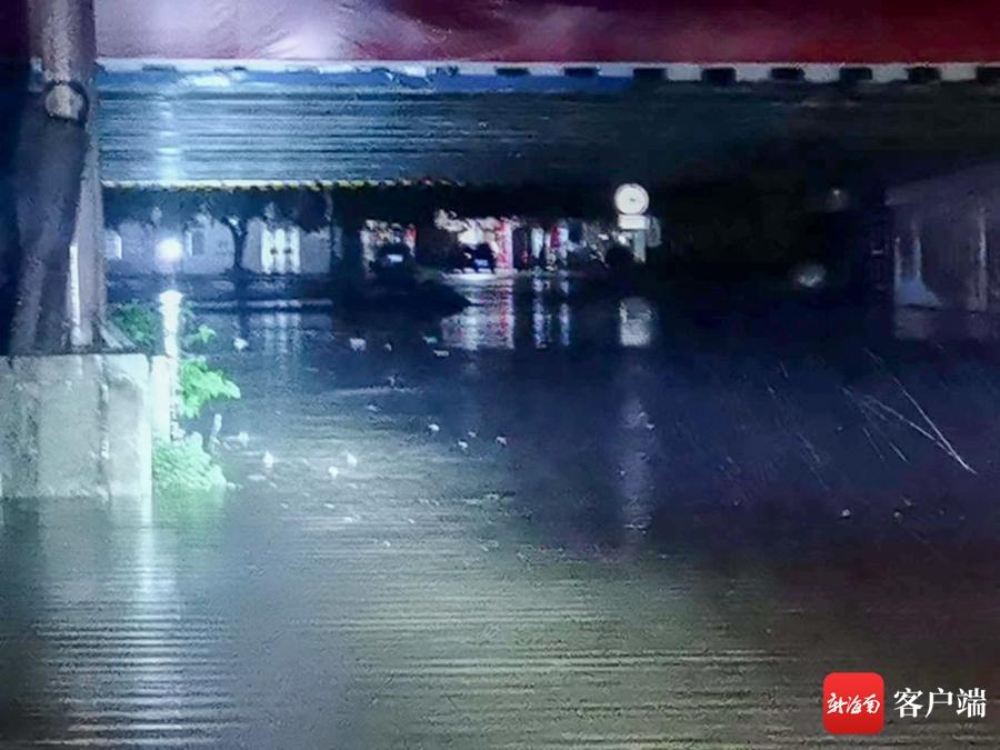 三亚司机最新招聘信息汇总,应聘指南与详细步骤解读