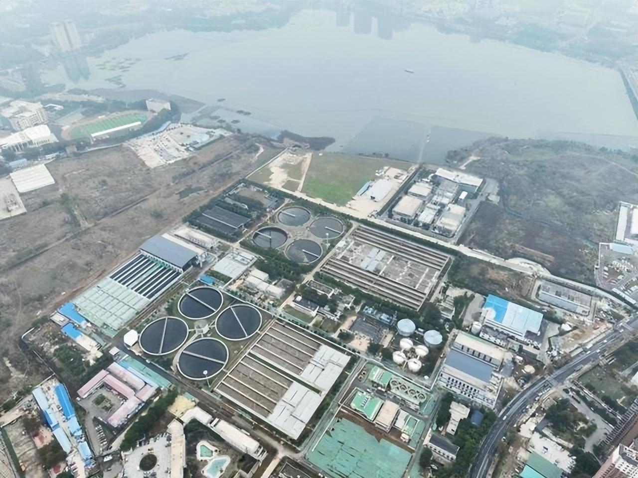 牙齿再生技术最新进展重塑未来口腔健康,高科技奇迹的展望(2024年)