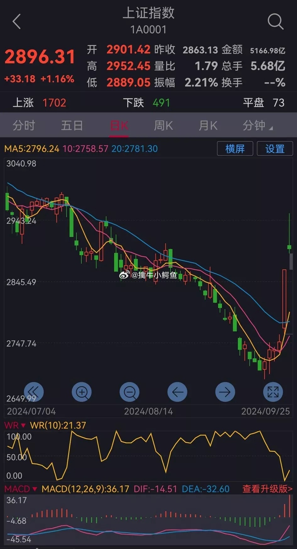 明日股市走势预测,最新大盘走势分析与详细步骤指南