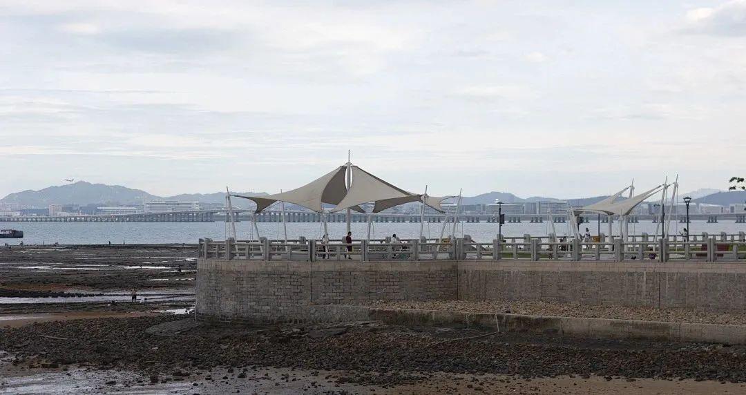 厦门BRT路线最新高清图及详细步骤指南