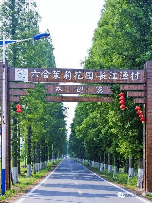 龙袍通航小镇最新动态,塑造未来航空枢纽,揭秘未来通航发展之路