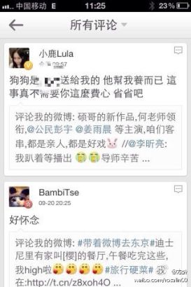 打小三事件揭秘,背景、进展与广泛影响