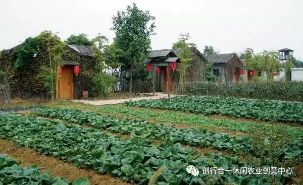 微派农场绿色变革下的励志故事最新消息