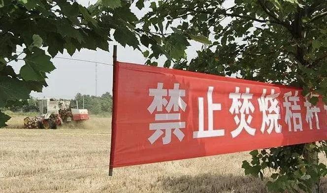 安徽对口高考最新动态更新