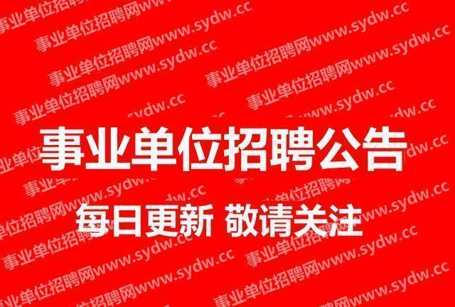绍兴袍江最新工作招聘揭秘，岗位空缺与求职指南🏢✨