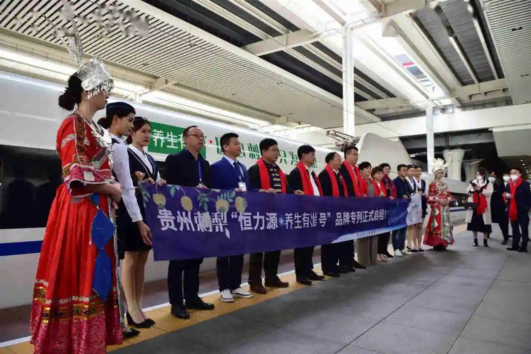 龙里县最新人事任免公告及指南