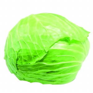 山东大白菜最新价格概览，最新行情动态与价格分析