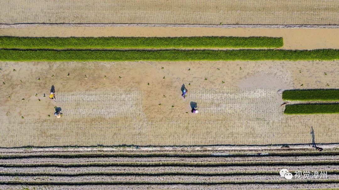 龙海市东园最新招聘，小巷深处的独特风味等你来发掘！
