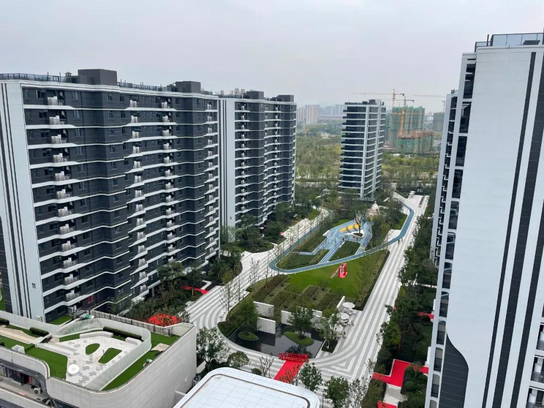 河滨之城学区最新动态,小巷深处的独特风情揭秘