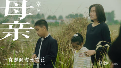 官路人心最新全文免费阅读,小红书带你探秘官场风云