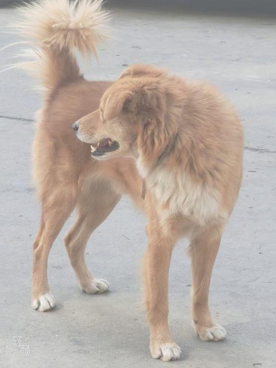 瑞安飞云最新招工信息揭秘,小巷里的隐藏宝藏等你来探索!