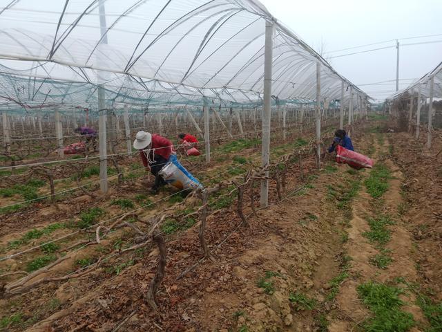 南阳工厂最新招工信息,寻找内心的宁静与自然的工作环境