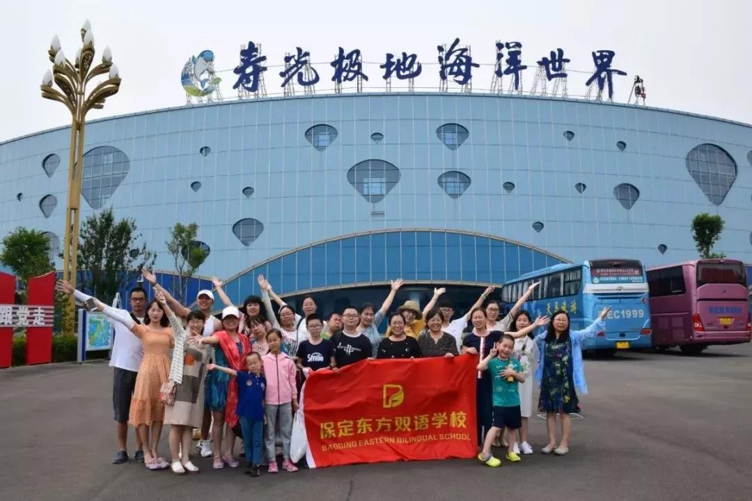 保定市最新招聘信息更新速递