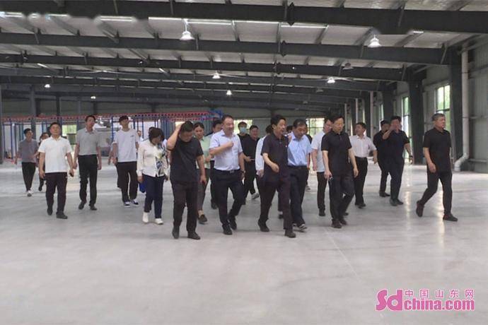 定陶信息港科技前沿重塑生活体验,最新消息与产品新纪元报道