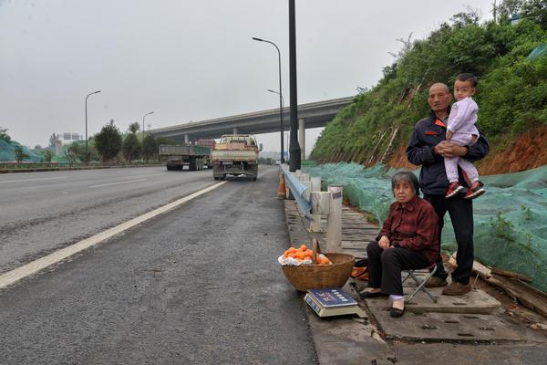 洛阳西环路最新动态，美食探寻深入巷弄奇遇
