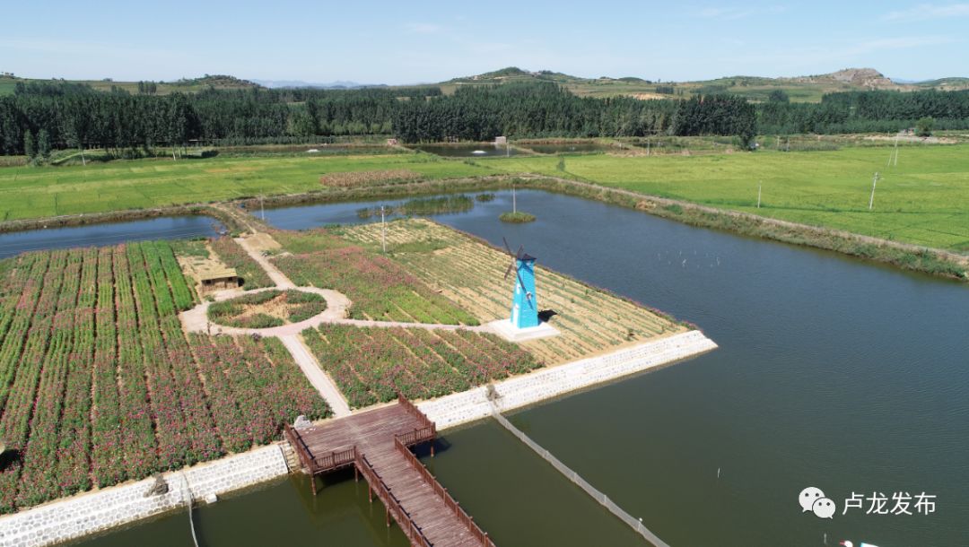 卢龙开发区最新动态，小巷深处的独特风味揭秘