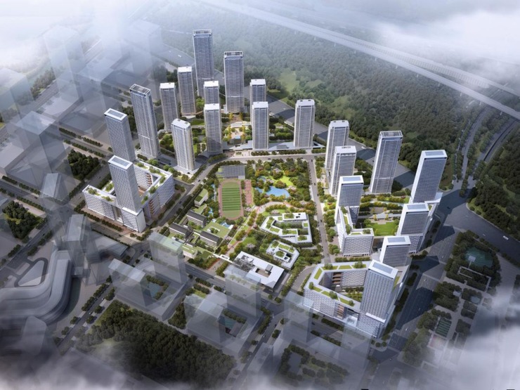 新蔡旭日国际最新进展动态更新