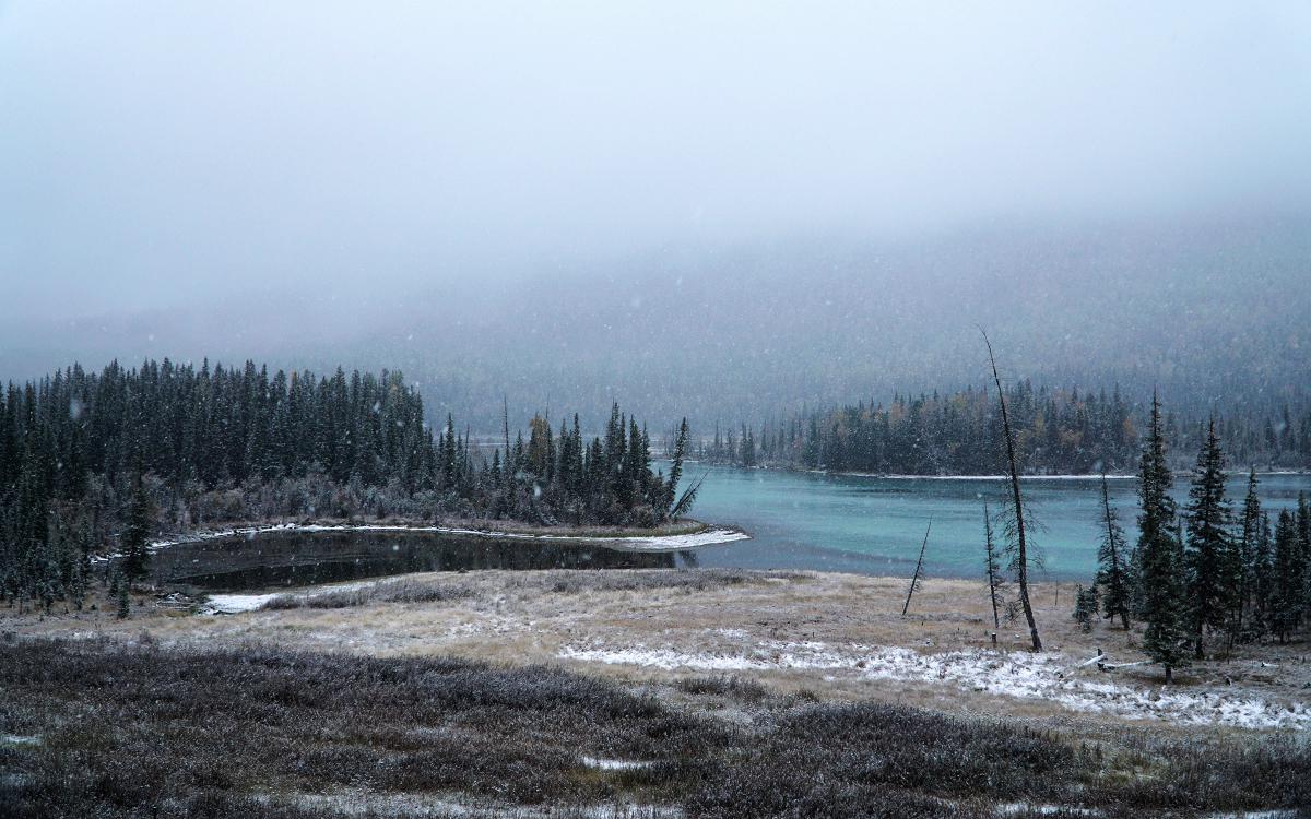 喀纳斯湖水怪最新动态,探索神秘水世界的奇妙旅程
