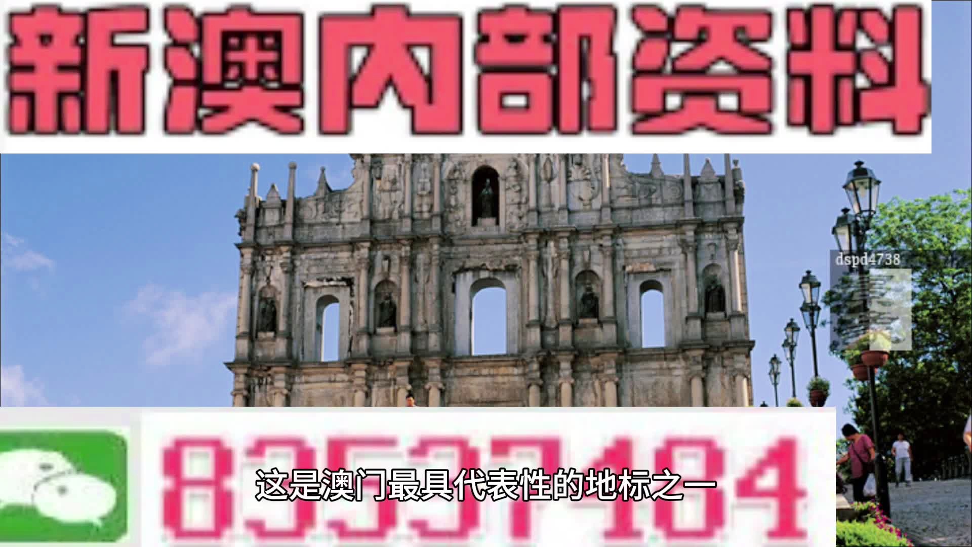新澳2024年免费资料,数据整合决策_WME38.540旅行助手版