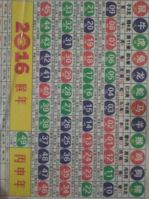 2024新版生肖恃码表49彩色澳门,持续性实施方案_DHP38.469荣耀版