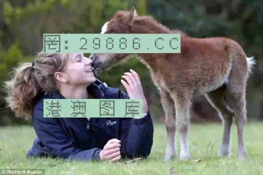 第2191页
