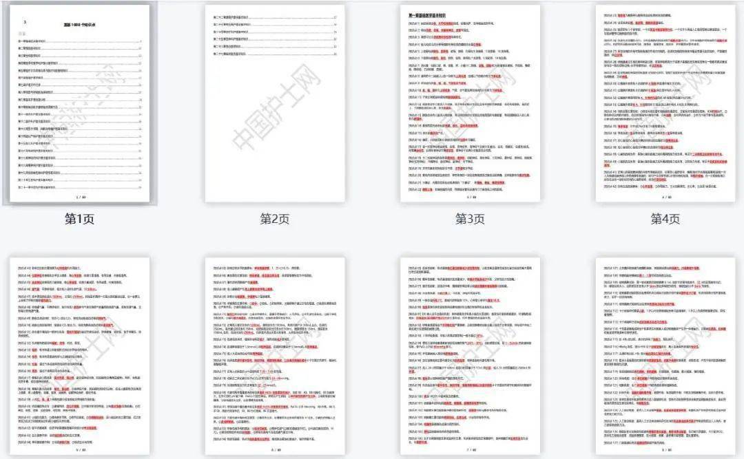 精准内部三肖免费资料大全,稳健设计策略_AKL38.558颠覆版