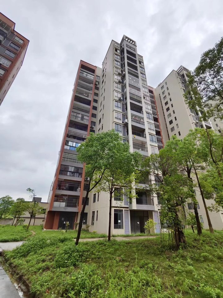 河源新域蓝山最新动态揭秘,蓝山脚下的欢乐日常